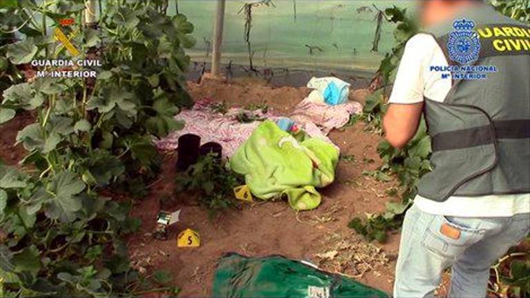 Desarticulada una red que introducía hachís