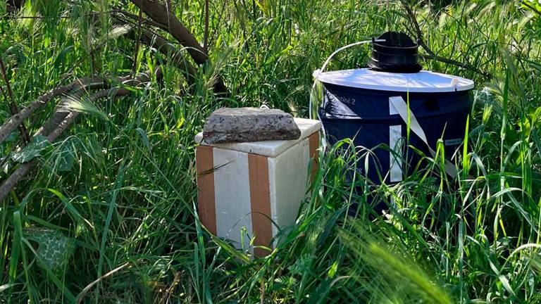 Andújar prepara el plan de prevención y control frente al Virus del Nilo Occidental