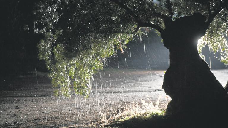 El anticipo de la PAC llega al 70 por ciento