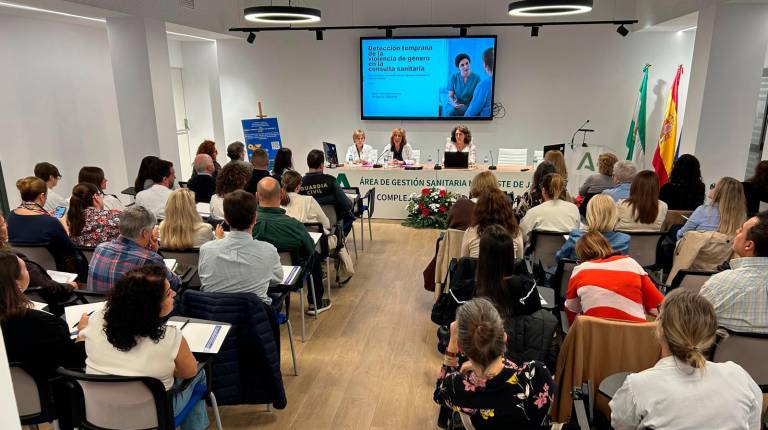 <i>Celebración de las jornadas sobre violencia de género. / Junta de Andalucía.</i>