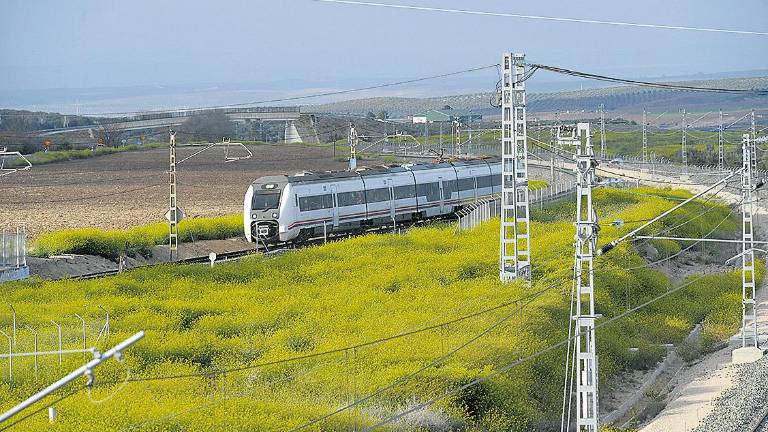 A propósito del tren