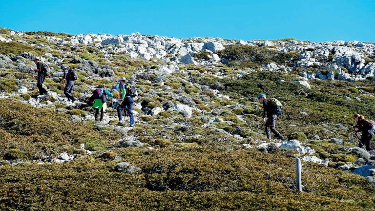 Los franceses le tienen querencia a Jaén
