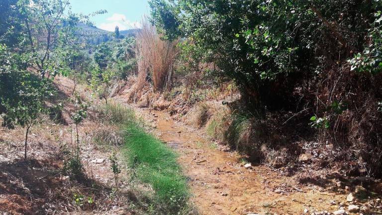 Apuesta por la restauración del arroyo de Peñolite, en Puente de Génave