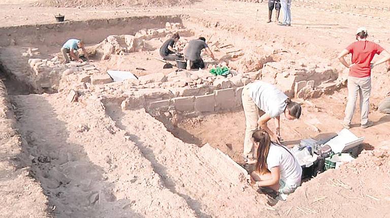 YACIMIENTOS. <i>Excavaciones arqueológicas de Isturgi, en la actualidad ocultas bajo un cultivo de olivos.</i>