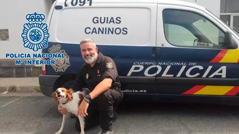 Localizan en Tenerife los restos de un hombre que llevaba más de un año desaparecido