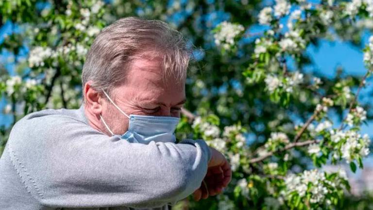 Niveles elevados de polen de gramíneas para la romería de la Virgen de la Cabeza