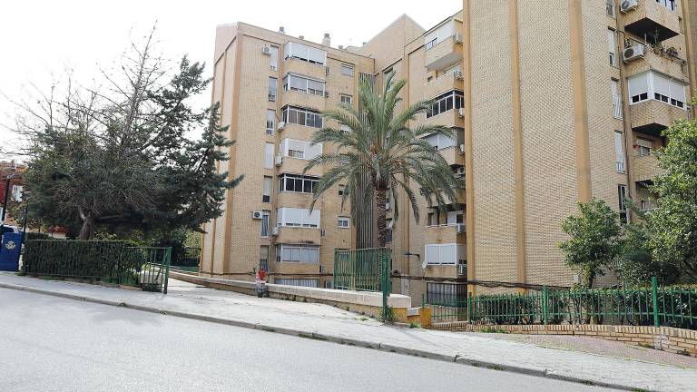 El agresor del violento incidente en el Polígono del Valle ingresa en prisión