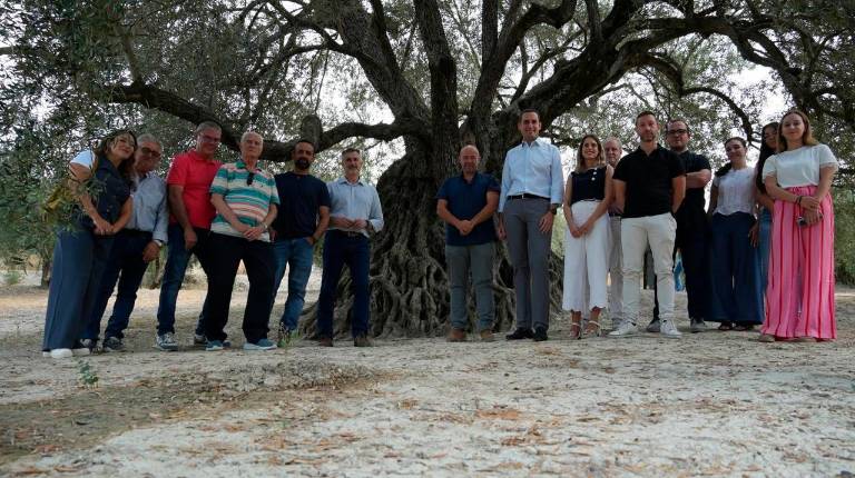 <i>Visita al sendero del olivo milenario Acebuche de las Hoyas. / Diputación de Jaén. </i>