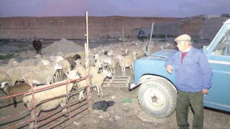 Tal día como hoy en 2004 publicábamos: Duerme en un coche para salvar su rebaño en Jódar