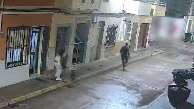 El valiente perro que ha evitado el secuestro de su dueña en Valencia