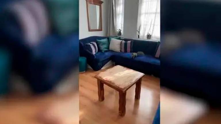 Si una ardilla se cuela en casa y estás en el baño, caos seguro