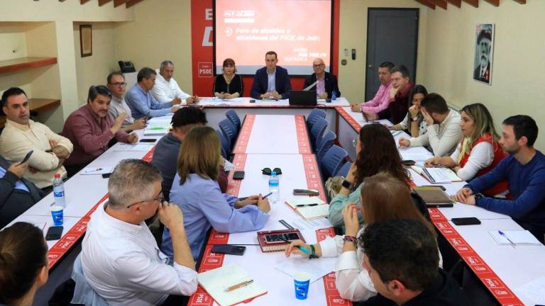 El PSOE solicita a la Junta más ayudas para los ayuntamientos de Jaén por el temporal