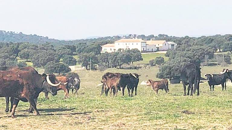 ¿Sabe cuál es la finca más cara de la provincia de Jaén?
