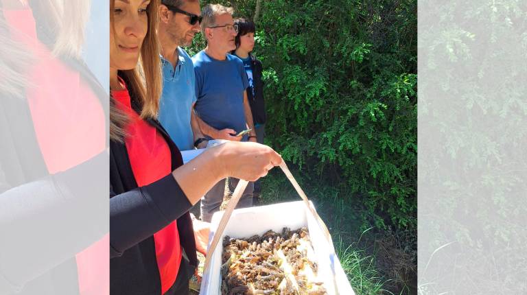 <i>La delegada territorial María José Lara, acompañada por el director conservador del Parque, Jesús Quesada, participa en esta campaña de suelta. / Junta de Andalucía.</i>