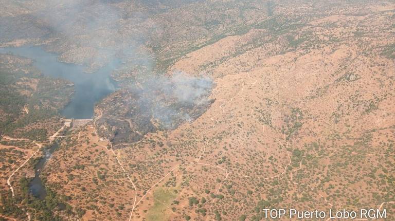 <i>Vista de la zona del incendio forestal en un paraje próximo a la presa del Encinarejo, en Andújar. / Plan Infoca.</i>