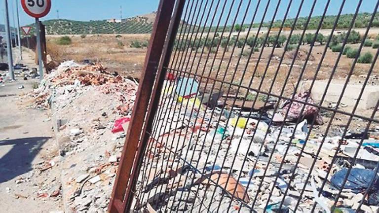 Retiran más de 5 toneladas de basura