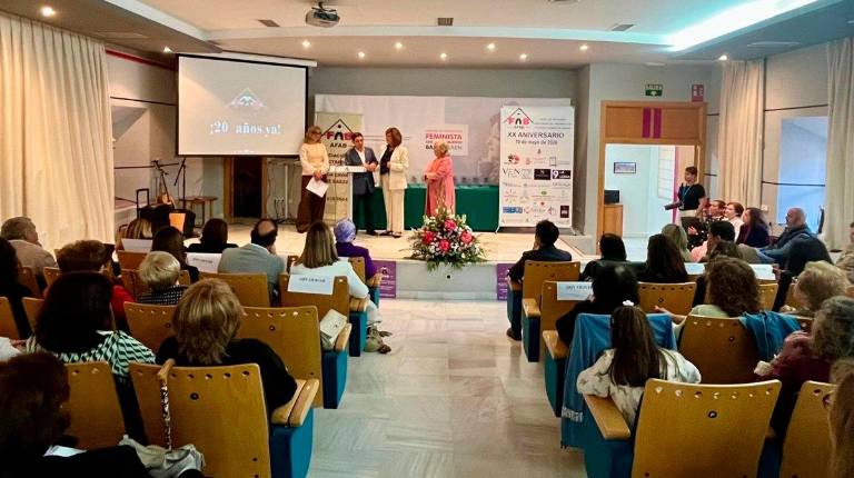 <i>El presidente de la Diputación Provincial de Jaén, Paco Reyes, en el acto conmemorativo del 20 aniversario de la Asociación de Personas Afectadas por Fibromialgia y Fatiga Crónica de Baeza (AFAB). / Europa Press.</i>