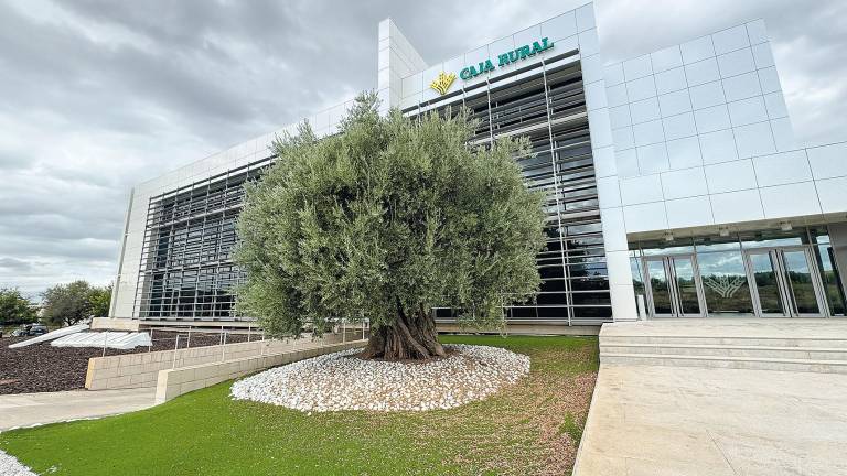 La Caja Rural de Jaén dona 150.000 euros a los afectados por la DANA