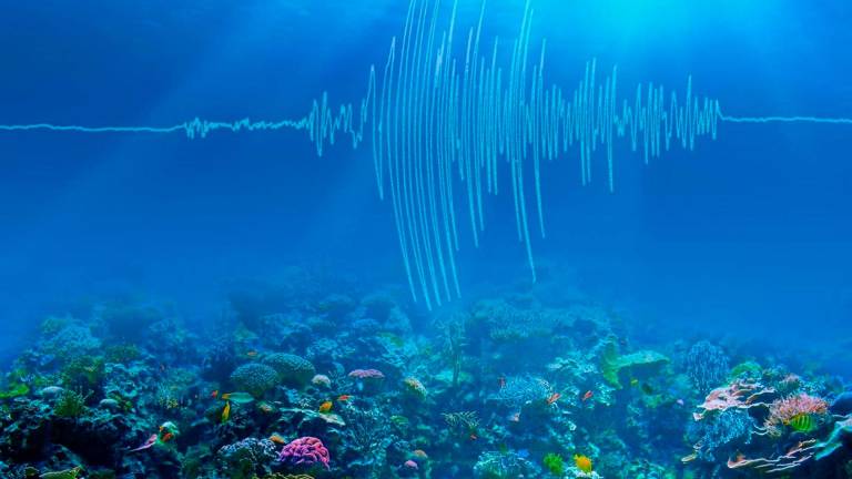 Monitorizar la temperatura de los océanos con los terremotos submarinos