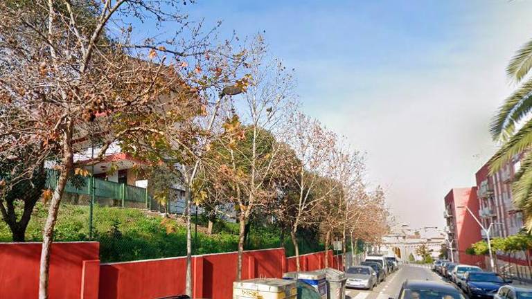Cuidado al pasear por Linares: los pájaros atacan