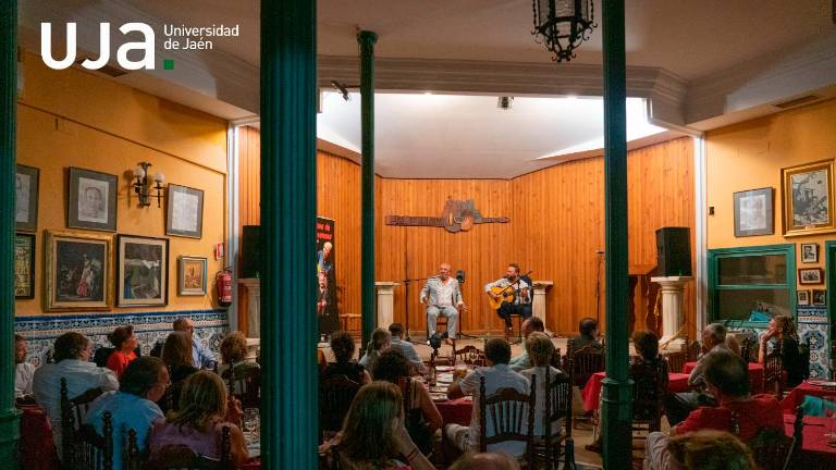 Cine y espectáculos para conmemorar el Día del Flamenco