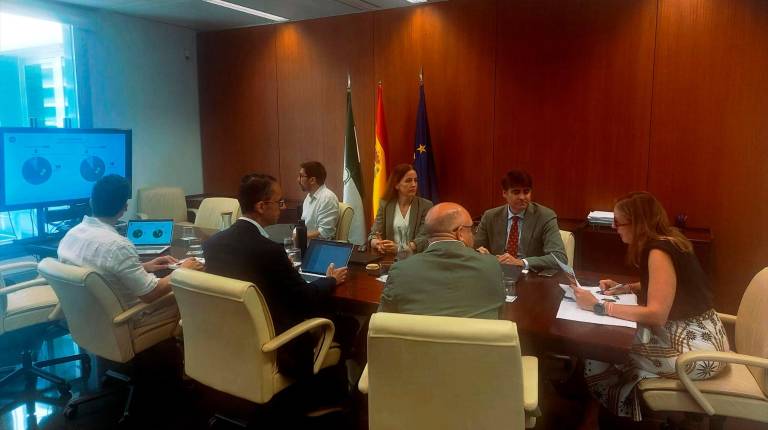 <i>Reunión sobre el programa de incentivos para fomentar el desarrollo de ciudades y territorios inteligentes de Andalucía (orden CITI). / Junta de Andalucía. </i>