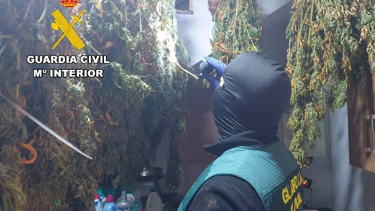 Desarticulado un grupo criminal dedicado al tráfico de drogas en Jaén