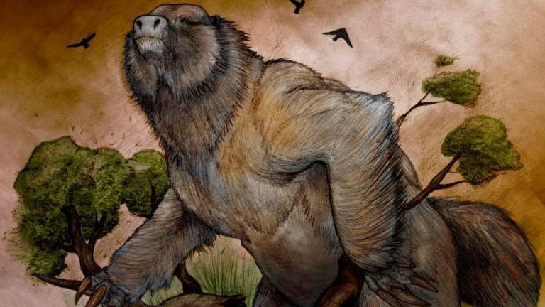 Hallan el fósil de un perezoso ancestral tan grande como un elefante