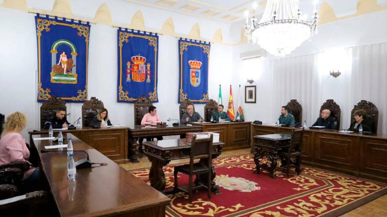 Precauciones con la aceituna ya recogida para evitar robos en el campo