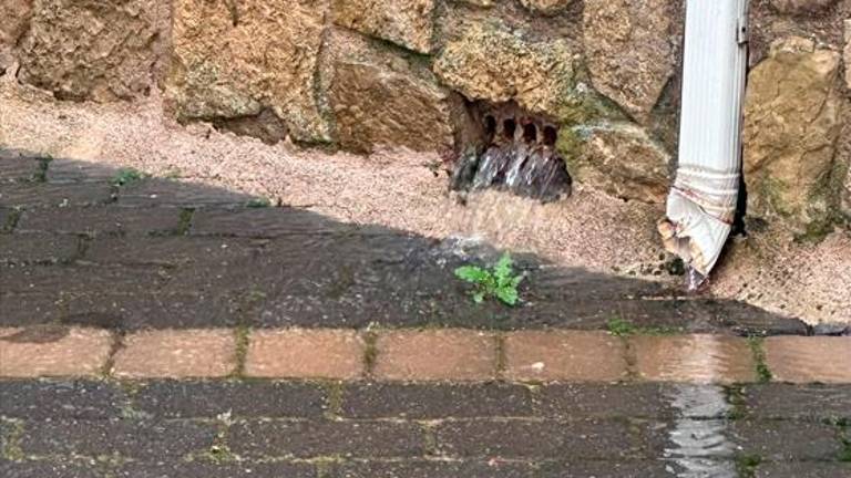 Hacía 30 años que no pasaba: Se desborda el manantial bajo Cañada Morales