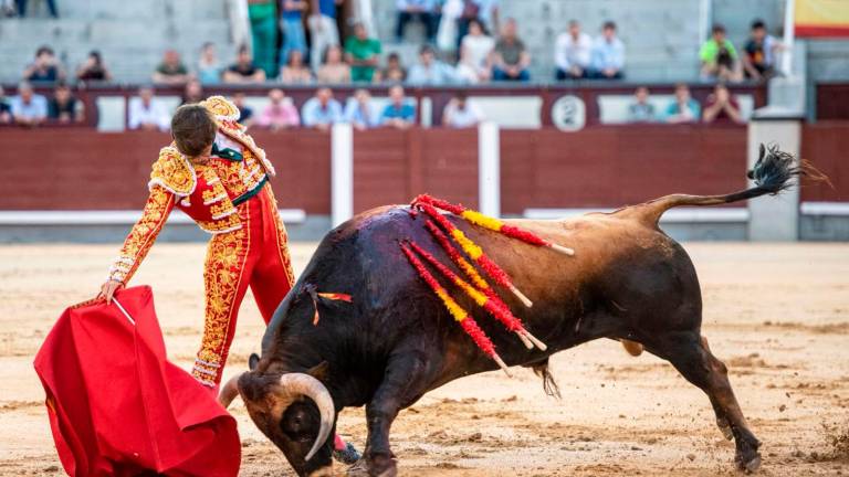 El novillero Pedro Gallego: “El cartel supone un reto y, a la vez, es una ilusión grande”