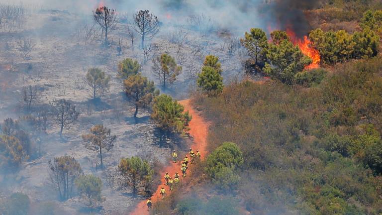 290 hectáreas calcinadas en el incendio de Estepona