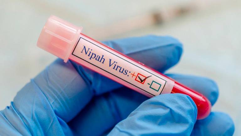 Brote del virus Nipah en India tras confirmarse cinco contagios