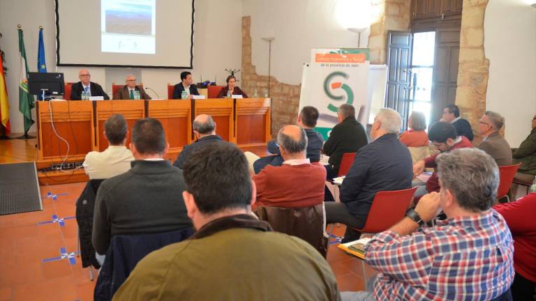 El futuro del olivar tradicional jiennense, puesto a debate
