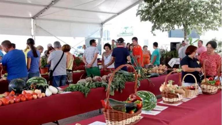 Alcalá la Real recupera su tradicional mercado de hortalizas