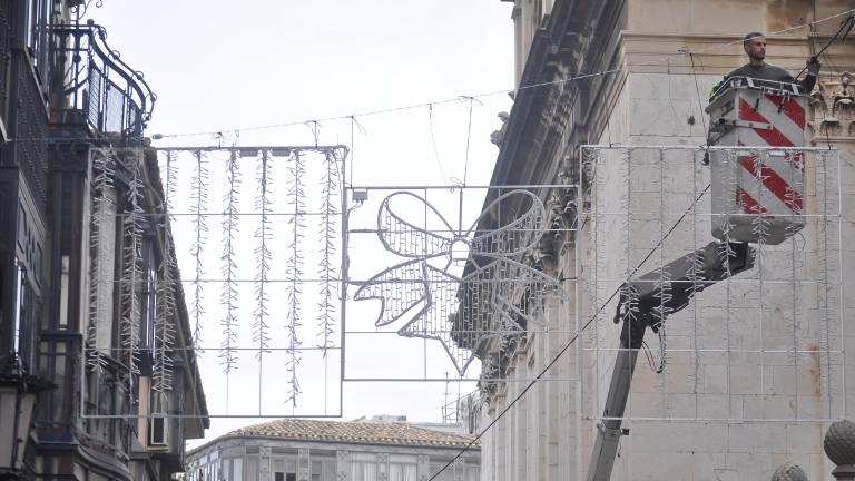 La Catedral de Jaén se engalana y recibe al mítico árbol de Navidad