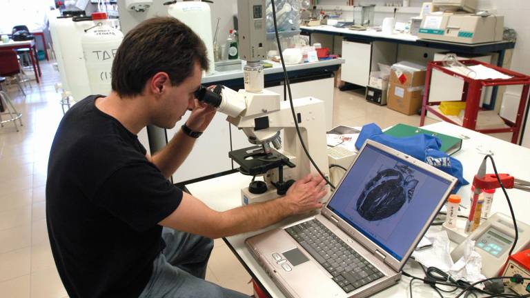 Un ranking de prestigio avala la calidad de la Universidad de Jaén