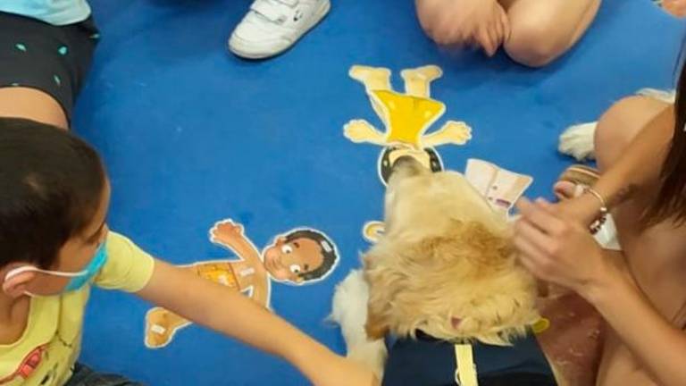 Llamamiento para ser voluntario en la escuela de verano de la Asociación de Autismo “Juan Martos Pérez”