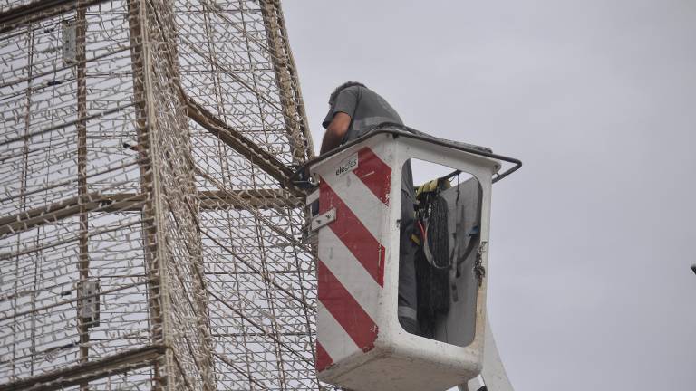 La Catedral de Jaén se engalana y recibe al mítico árbol de Navidad