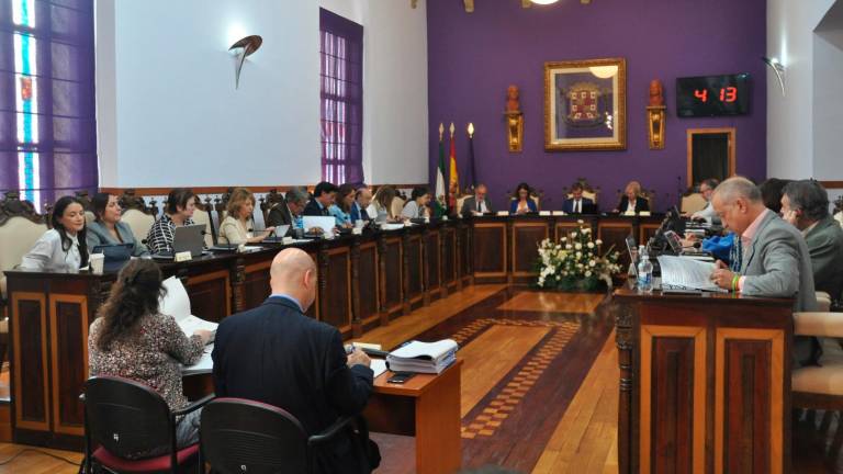 Luz verde a la cesión de la recaudación del Ayuntamiento de Jaén a la Diputación