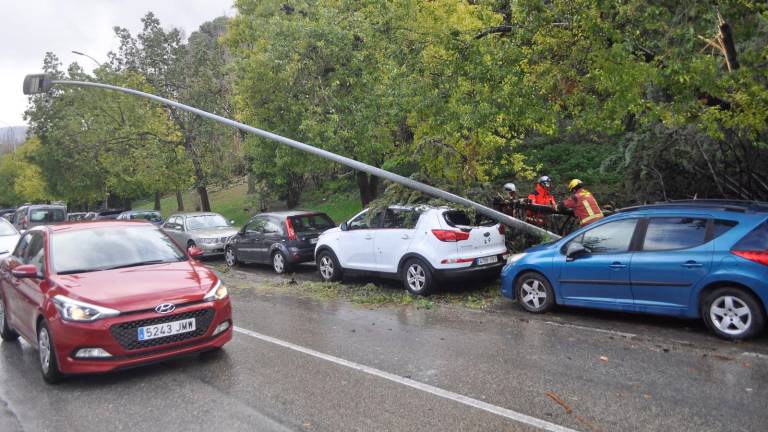 Árbol y farola arrancados en Senda de los Huertos