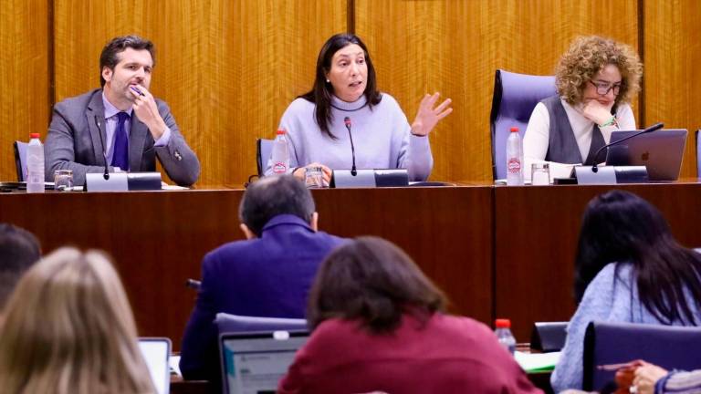 El PSOE cifra en dos años el retraso en Jaén para la valoración de la discapacidad