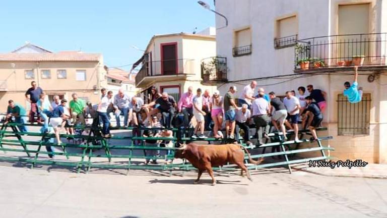 Los toros centran el fin de fiesta