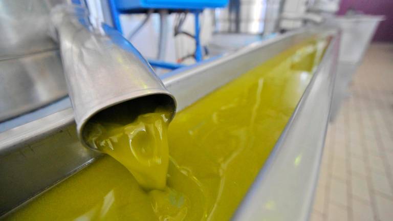 Andalucía es la segunda comunidad en exportaciones a EE UU