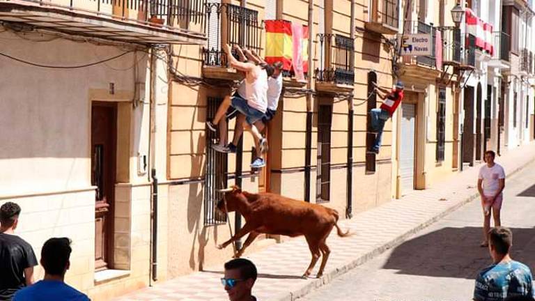 Los toros centran el fin de fiesta