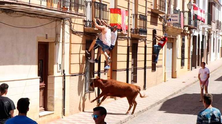 Los toros centran el fin de fiesta