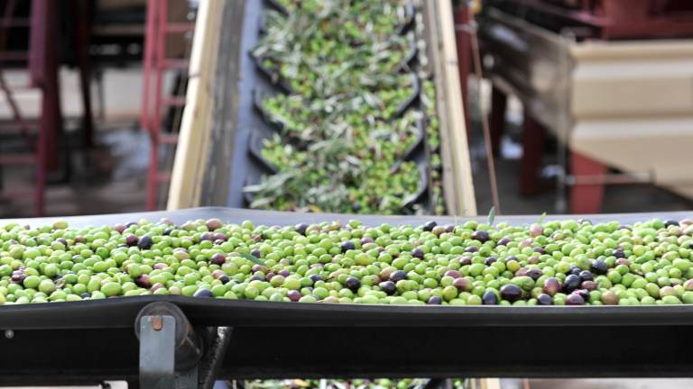 La Junta impulsa en Martos una planta de producción de biocombustibles de alperujo