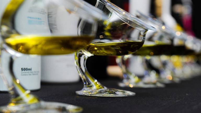 Una selección de diferentes aceites de oliva vírgenes extra dispuestos para su cata en una foto de Archivo. / Agustín Muñoz / Diario JAÉN. 