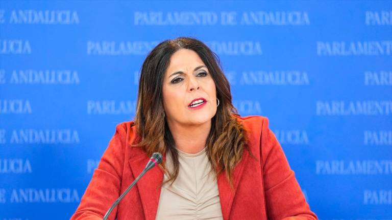 <i>Ángeles Férriz, durante la ronda de ruedas de prensa de portavoces de los grupos parlamentarios en el Parlamento de Andalucía, a 4 de marzo de 2026 en Sevilla. / Joaquín Corchero / Europa Press.</i>