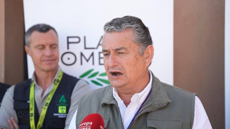 <i>Sanz, en la atención a medios en El Rocío. / Joaquín Corchero / Europa Press.</i>